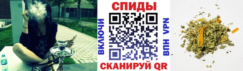 блэк спрут ТОР Шарыпово БУТИРАТ буратино