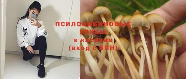 не бодяженный Богданович