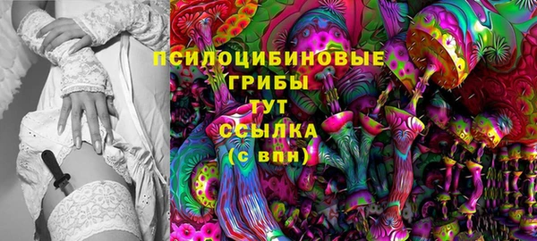 не бодяженный Богданович