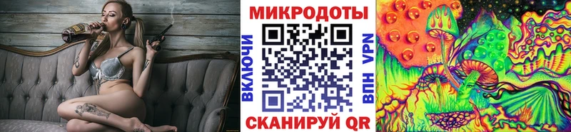 Псилоцибиновые грибы Cubensis  купить  цена  Шарыпово 